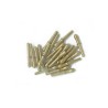 Brass Cabillots 12mm (20pcs) | Scientific-MHD