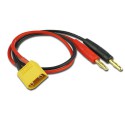 Charger for accusation for radio controlled device Candon XT-90 (5pcs) | Scientific-MHD Charger for accusation for radio controlled device Candon XT-90 (5pcs) | Scientific-MHD
