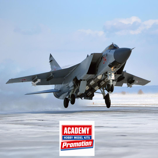 Model MiG-31 BM/BSM...