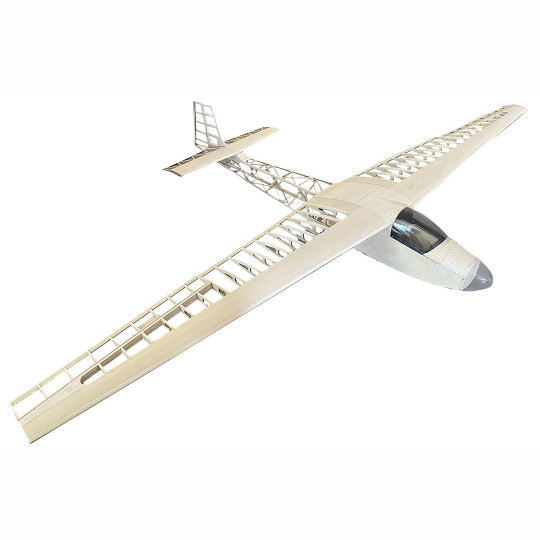 Radio-controlled glider...