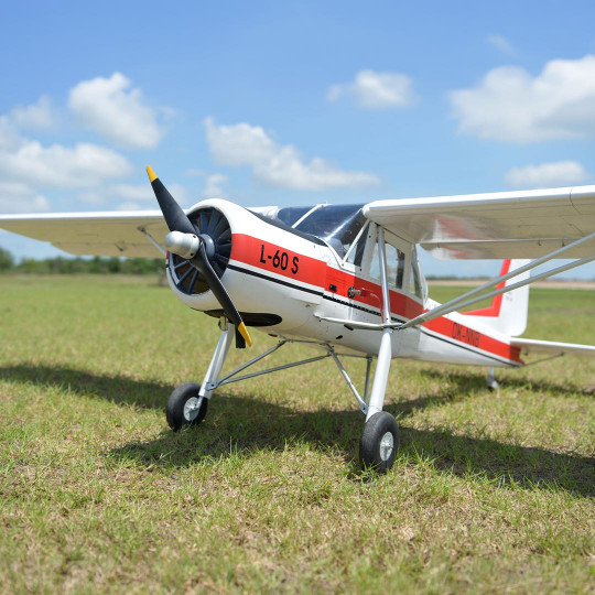 Radio-controlled thermal...