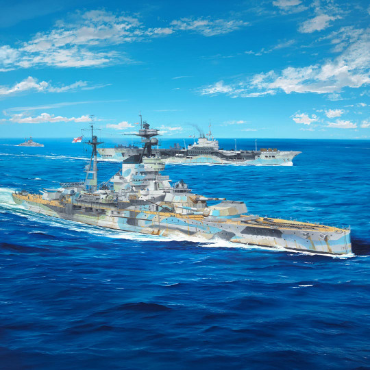 Model of HMS Resolution...