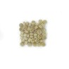 Cap de sheep from Boxwood Cap 3mm (50 pcs) | Scientific-MHD