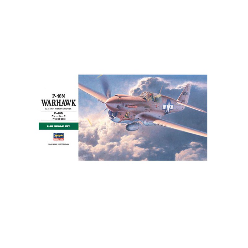 P-40N plastic plane model Warhawk 1/48 | Scientific-MHD