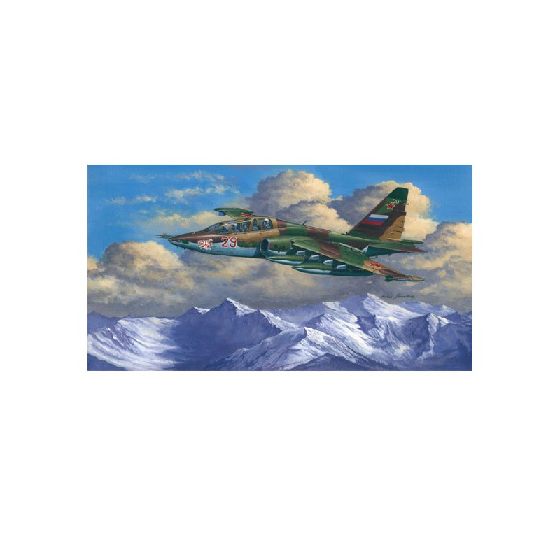 SU-25ub Frogfoot B plastic plane model | Scientific-MHD