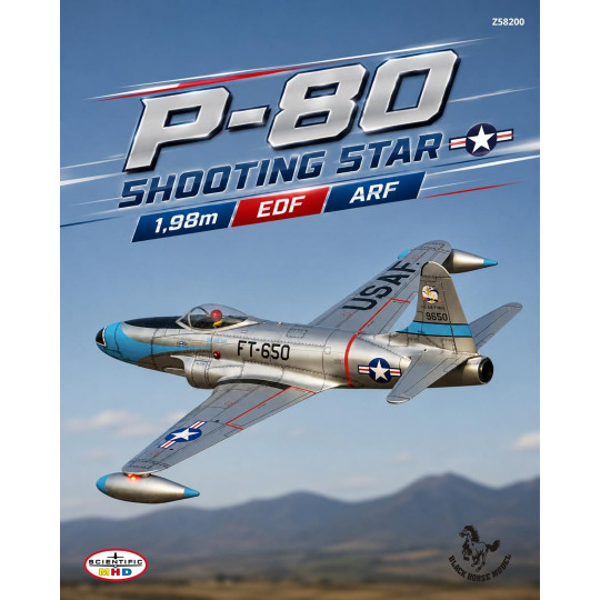 Turbine jet P-80 SHOOTING...