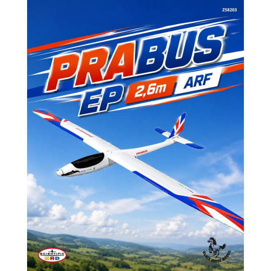 Radio-controlled glider...
