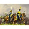 Swedish cavalry figurine Napoleon | Scientific-MHD