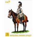 Swedish cavalry figurine Napoleon | Scientific-MHD Swedish cavalry figurine Napoleon | Scientific-MHD