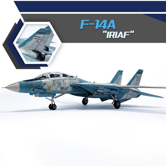 Model of F-14A IRIAF 1/72...