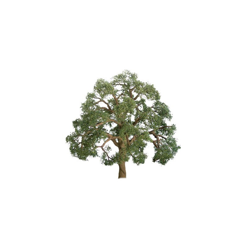 50mm oaks tree - Ladder n | Scientific-MHD