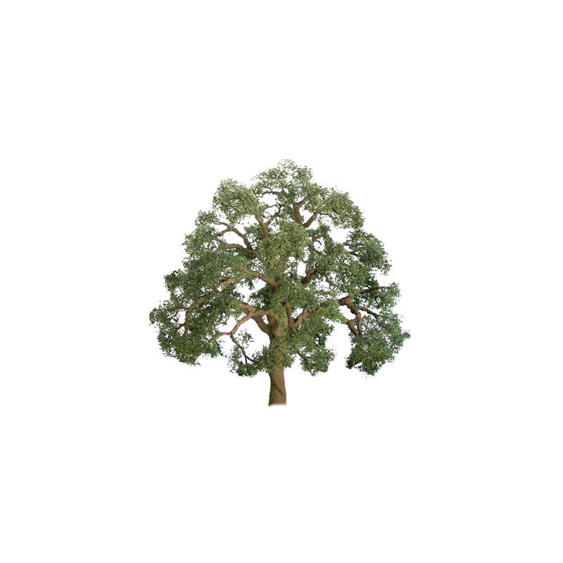 75mm oak tree - Hole lade | Scientific-MHD