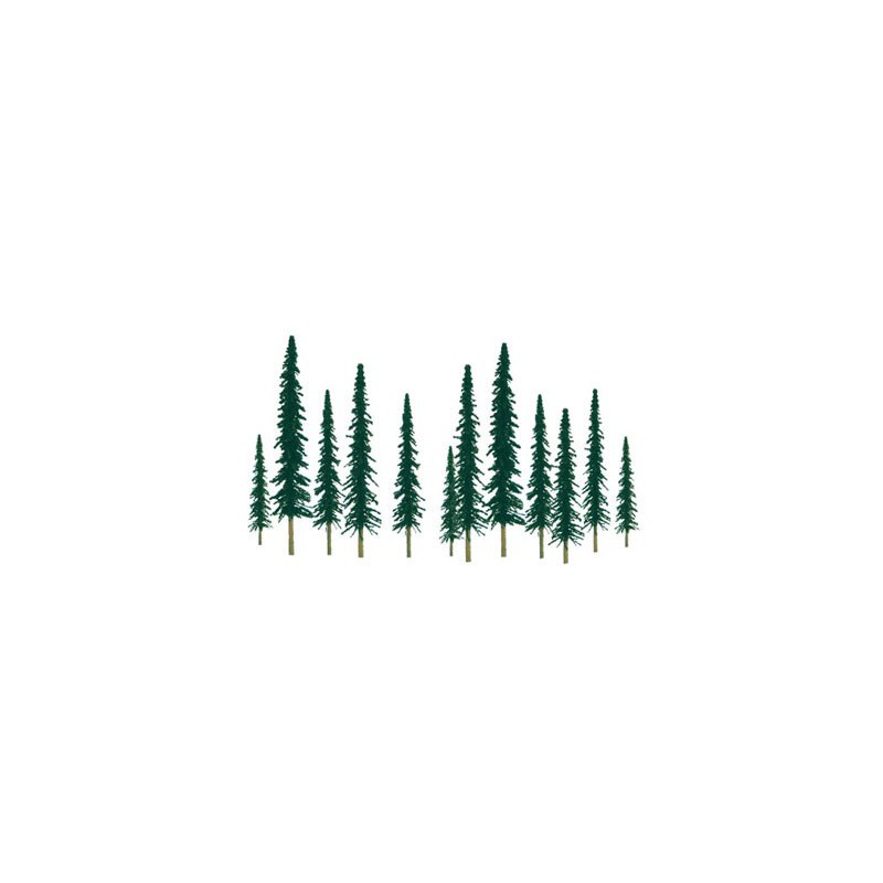 Conifers tree 50 to 100mm. Fload n | Scientific-MHD