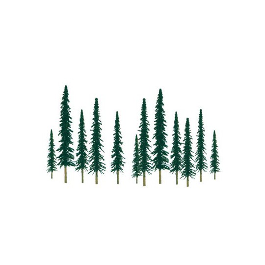 Conifers tree 50 to 100mm. Fload n | Scientific-MHD