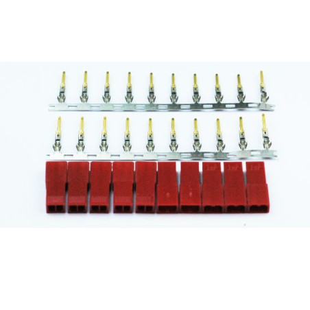 Radio -controlled charger for radiocomanded appliance female gold connector (10 pcs) | Scientific-MHD Radio -controlled charger for radiocomanded appliance female gold connector (10 pcs) | Scientific-MHD