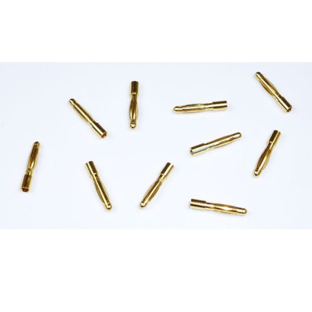 Charger for accusation of radio controlled cylindrical contacts 2mm or males (10 pcs) | Scientific-MHD Charger for accusation of radio controlled cylindrical contacts 2mm or males (10 pcs) | Scientific-MHD