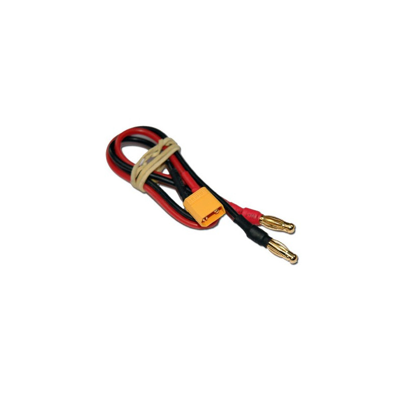 Charger for accusation for radio controlled device Candon XT-30 | Scientific-MHD