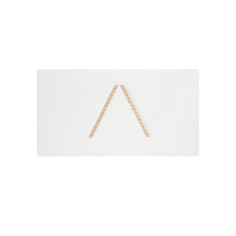 Boat fiddling to mount 2x3x60mm | Scientific-MHD