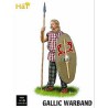 Gallic 1/32 war band figurine | Scientific-MHD Gallic 1/32 war band figurine | Scientific-MHD
