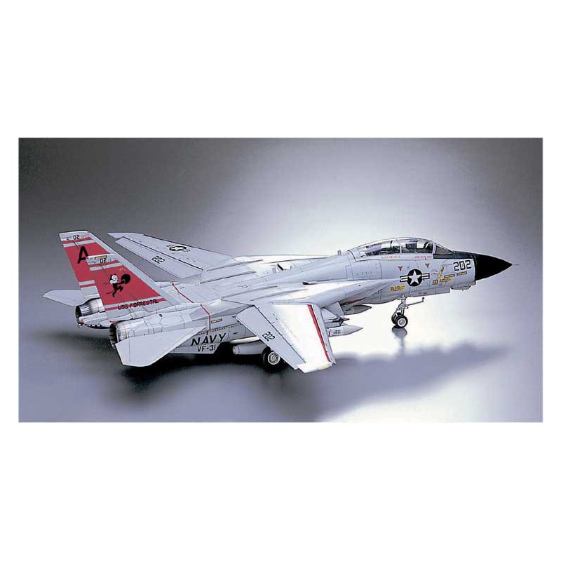F-14A plastic plane model (ATLA) (P19) 1/48 | Scientific-MHD