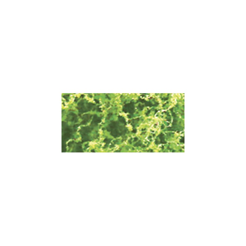 Light green foliage foliage - 9.6dm2 | Scientific-MHD