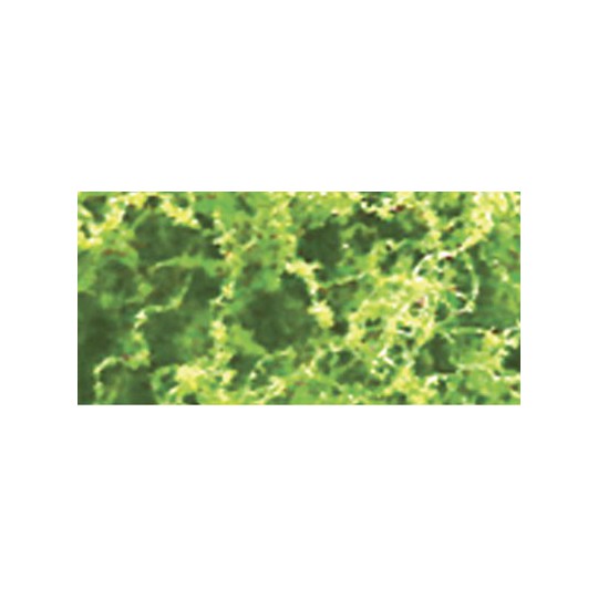 Light green foliage foliage - 9.6dm2 | Scientific-MHD