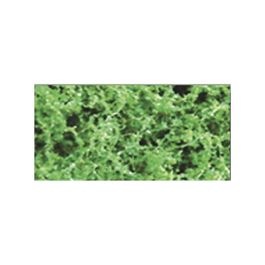 Foliage herbs medium green thick foliage - 9.6dm2 | Scientific-MHD