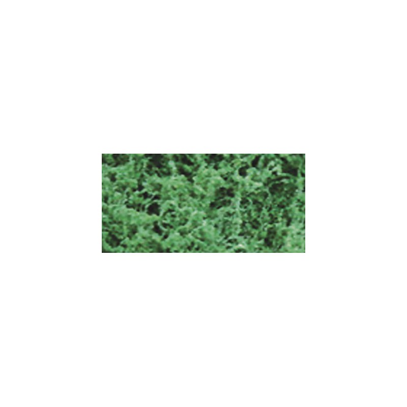 Foliage herbs Dark green Foliage - 9.6dm2 | Scientific-MHD