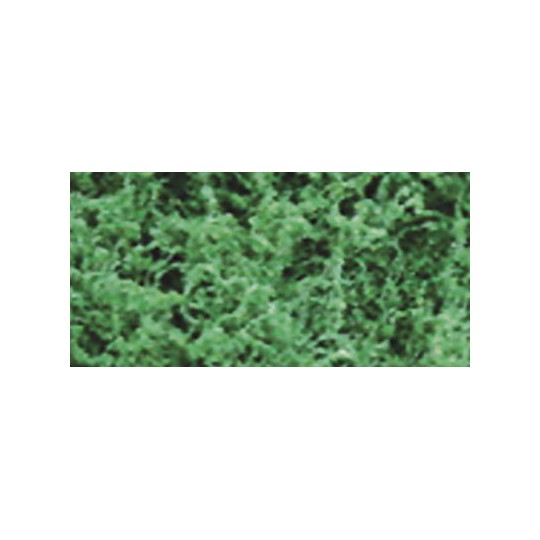 Foliage herbs Dark green Foliage - 9.6dm2 | Scientific-MHD