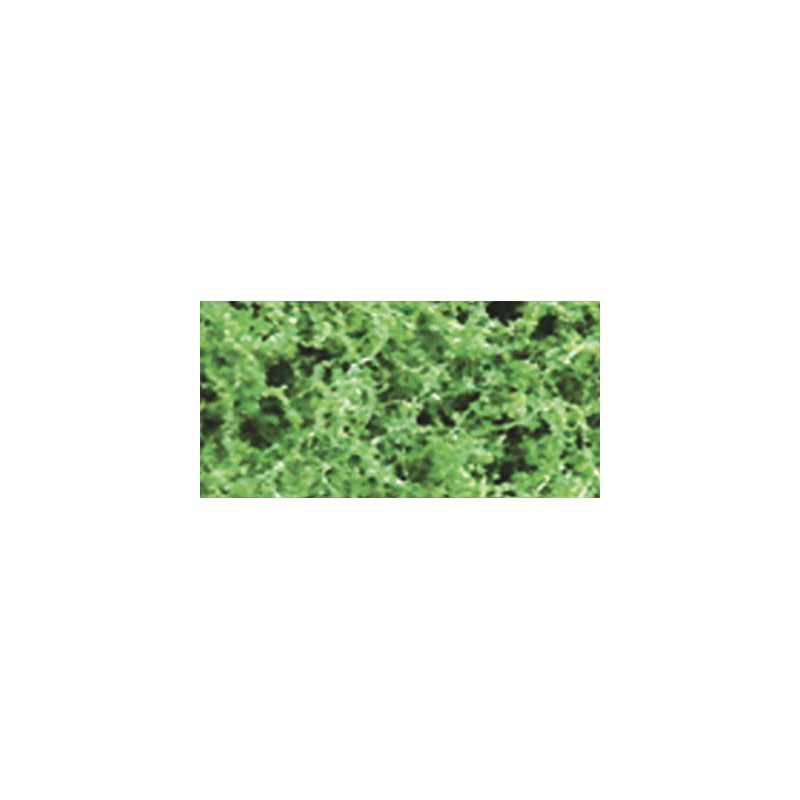 Foliage herbs medium green foliage - 9.6dm2 | Scientific-MHD