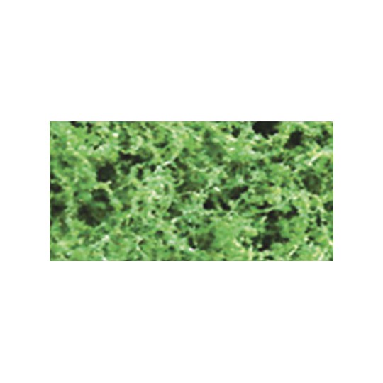 Foliage herbs medium green foliage - 9.6dm2 | Scientific-MHD