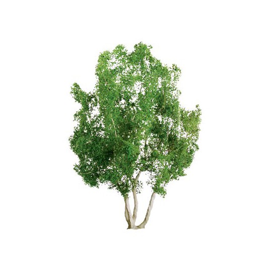 GOMMIERS 75mm TROW HO | Scientific-MHD