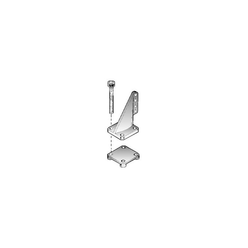 Embedded accessory Guignols Grand models 4 -hole models | Scientific-MHD