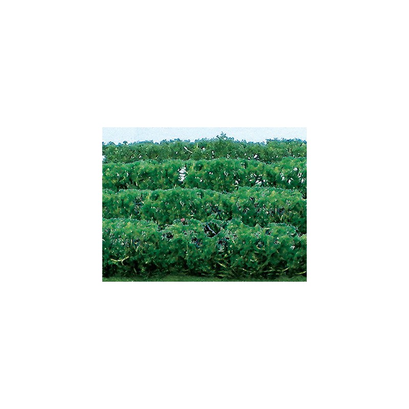 Flower plans hedge of green plants 125x9x15mm - Hole | Scientific-MHD