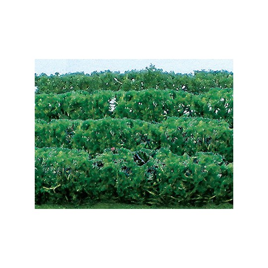 Flower plans hedge of green plants 125x9x15mm - Hole | Scientific-MHD