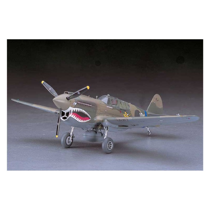 P40 E Warhawk plastic plane model (JT86) 1/48 | Scientific-MHD