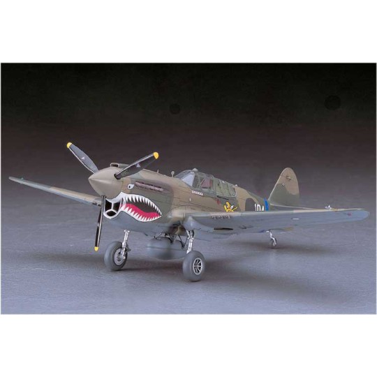 P40 E Warhawk plastic plane model (JT86) 1/48 P40 E Warhawk plastic plane model (JT86) 1/48 | Scientific-MHD
