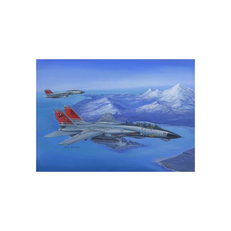 F-14D Super Tomcat 1/48 plane plane model | Scientific-MHD