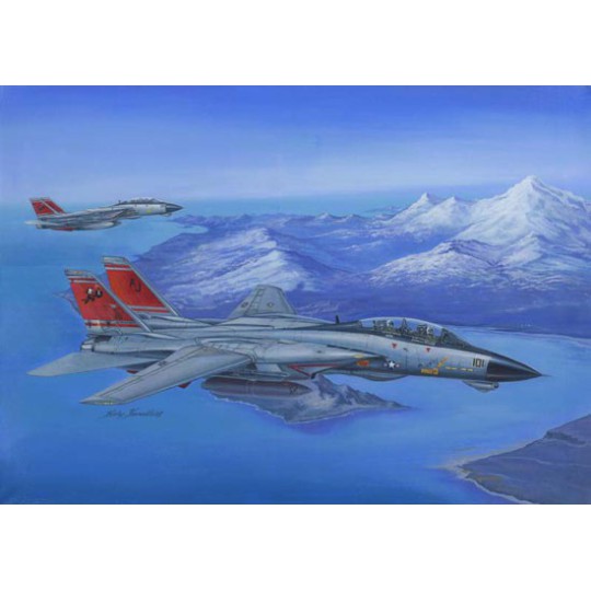 F-14D Super Tomcat 1/48 plane plane model F-14D Super Tomcat 1/48 plane plane model | Scientific-MHD