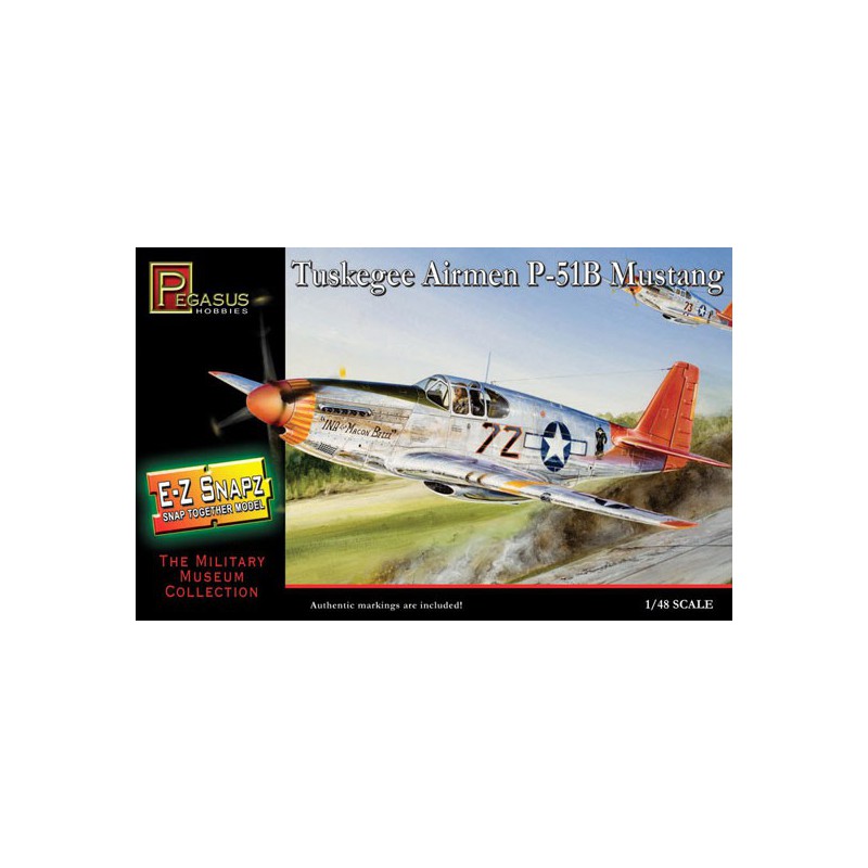 P-51B plastic plane model Mustang Ez Snapz 1/48 | Scientific-MHD
