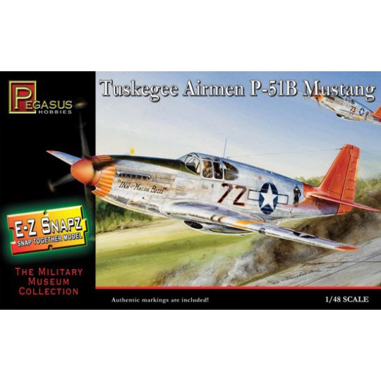 P-51B plastic plane model Mustang Ez Snapz 1/48 P-51B plastic plane model Mustang Ez Snapz 1/48 | Scientific-MHD