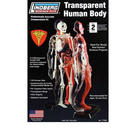 Transparent human educational plastic model 1/6 Transparent human educational plastic model 1/6 | Scientific-MHD