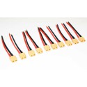 Charger for accusation for radiocheted device 10 cables 10cm + XT60 female | Scientific-MHD Charger for accusation for radiocheted device 10 cables 10cm + XT60 female | Scientific-MHD