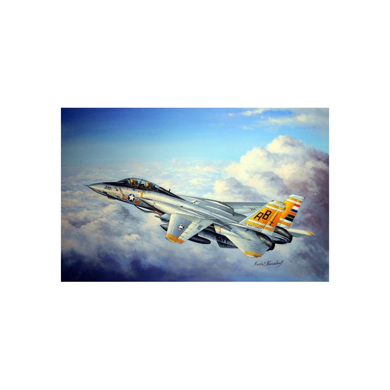 F-14A plastic plane model Tomcat 1/48 | Scientific-MHD
