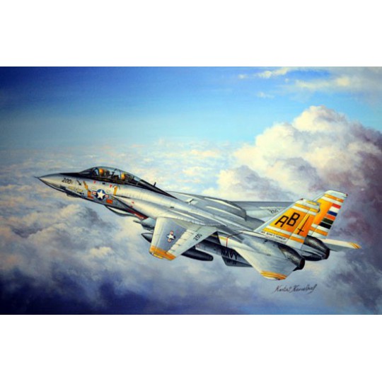 F-14A plastic plane model Tomcat 1/48 F-14A plastic plane model Tomcat 1/48 | Scientific-MHD