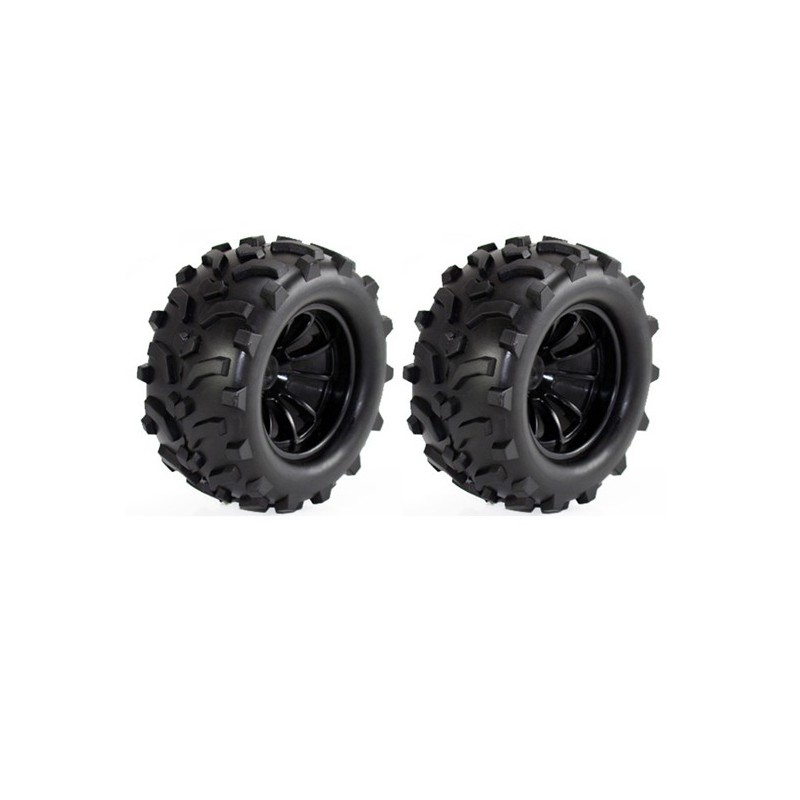 Monster Winner 1/10 Radiocommented Car | Scientific-MHD