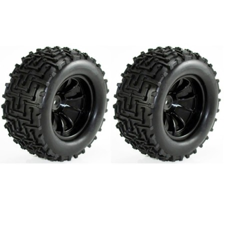 Monster Winner 1/10 Radiocommented Car | Scientific-MHD