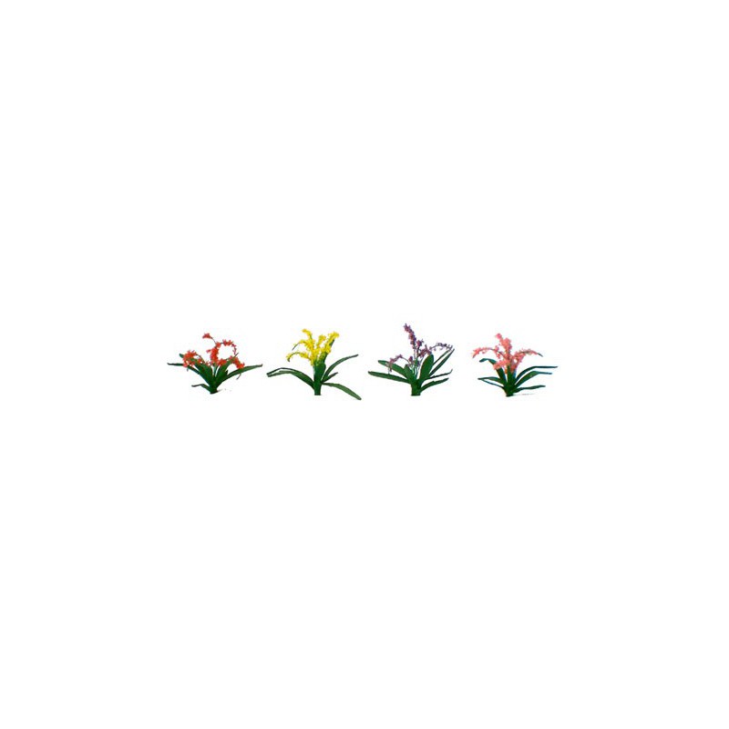 Flower plans plants of assorted flowers 21mm - lade ho | Scientific-MHD