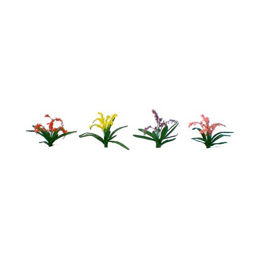 Flower plans plants of assorted flowers 21mm - lade ho | Scientific-MHD