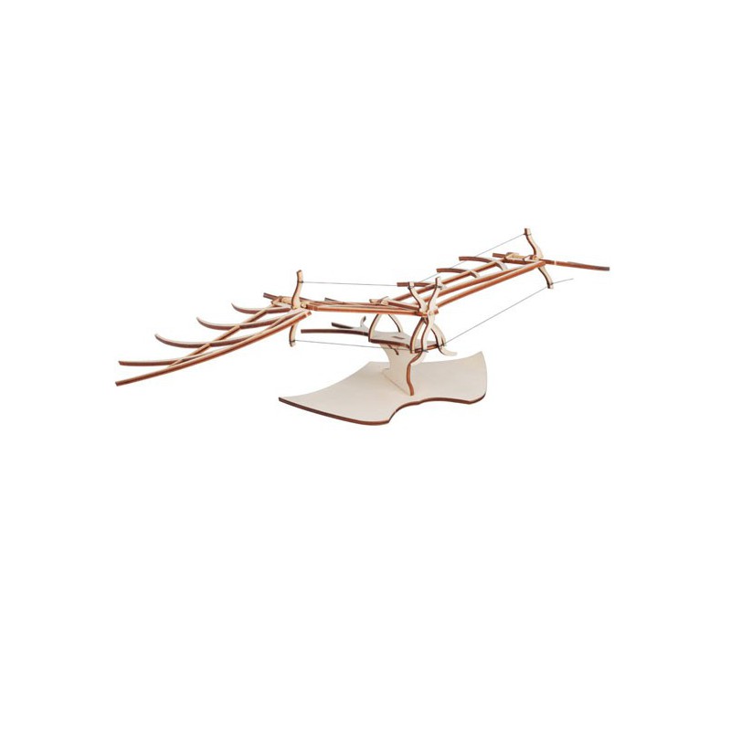 Flying machine | Scientific-MHD